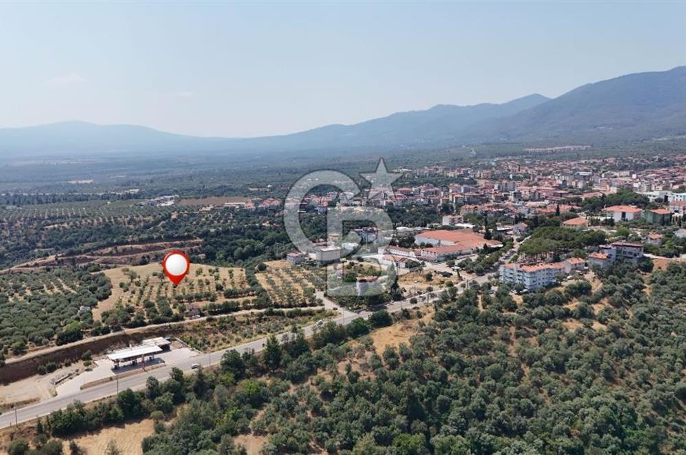 Aydın Karacasuda Satılık İmara Komşu Yatırımlık 31.298m2 Arazi