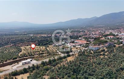 Aydın Karacasuda Satılık İmara Komşu Yatırımlık 31.298m2 Arazi
