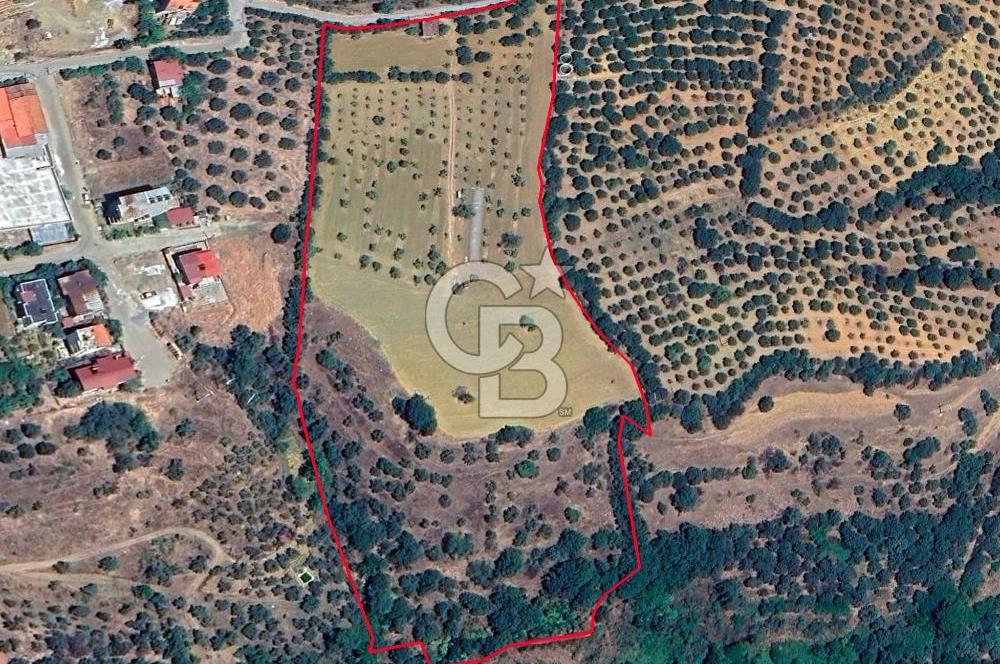 Aydın Karacasuda Satılık İmara Komşu Yatırımlık 31.298m2 Arazi
