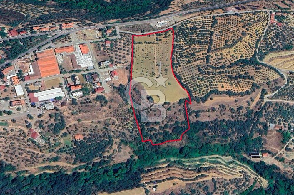 Aydın Karacasuda Satılık İmara Komşu Yatırımlık 31.298m2 Arazi
