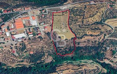 Aydın Karacasuda Satılık İmara Komşu Yatırımlık 31.298m2 Arazi
