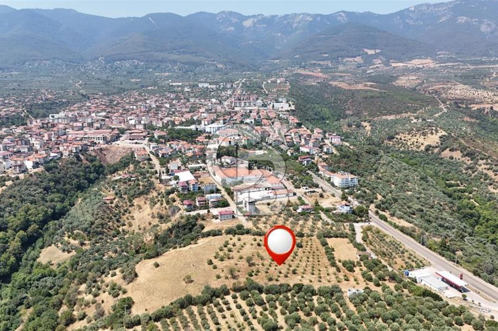 Aydın Karacasuda Satılık İmara Komşu Yatırımlık 31.298m2 Arazi
