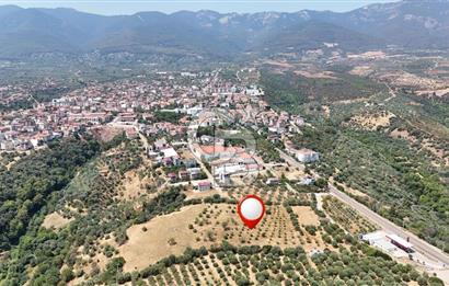 Aydın Karacasuda Satılık İmara Komşu Yatırımlık 31.298m2 Arazi