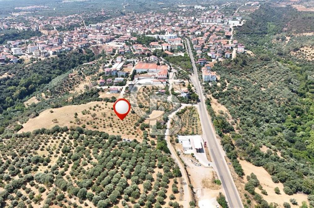 Aydın Karacasuda Satılık İmara Komşu Yatırımlık 31.298m2 Arazi