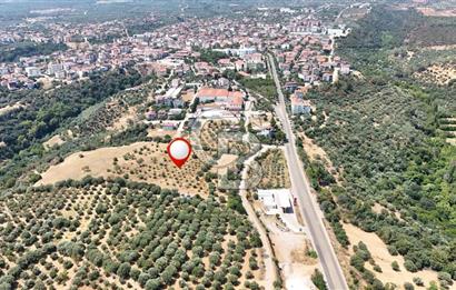 Aydın Karacasuda Satılık İmara Komşu Yatırımlık 31.298m2 Arazi
