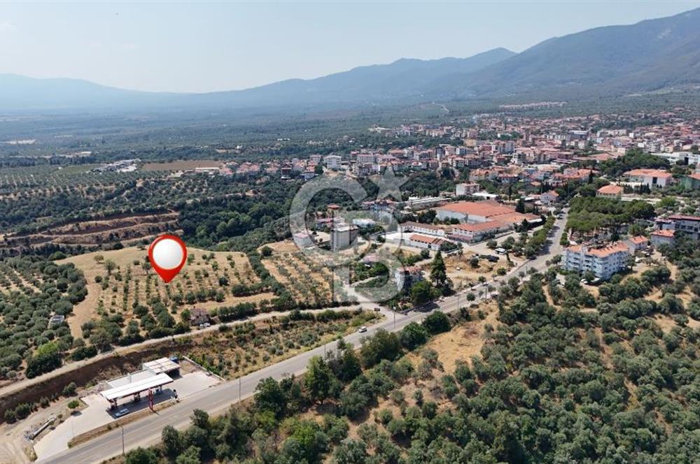 Aydın Karacasuda Satılık İmara Komşu Yatırımlık 31.298m2 Arazi