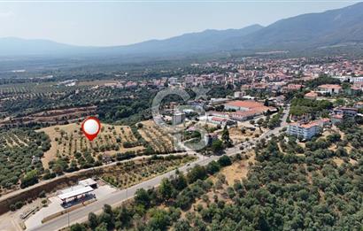 Aydın Karacasuda Satılık İmara Komşu Yatırımlık 31.298m2 Arazi