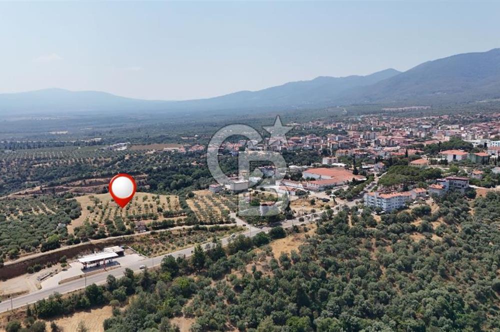 Aydın Karacasuda Satılık İmara Komşu Yatırımlık 31.298m2 Arazi