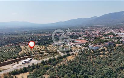 Aydın Karacasuda Satılık İmara Komşu Yatırımlık 31.298m2 Arazi