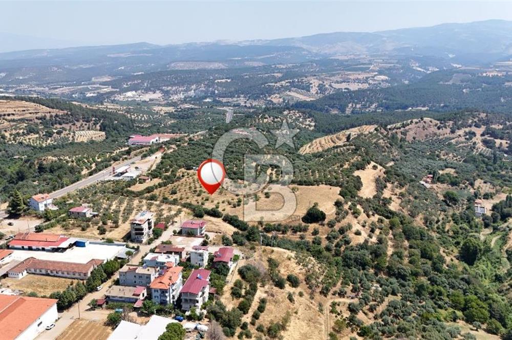 Aydın Karacasuda Satılık İmara Komşu Yatırımlık 31.298m2 Arazi