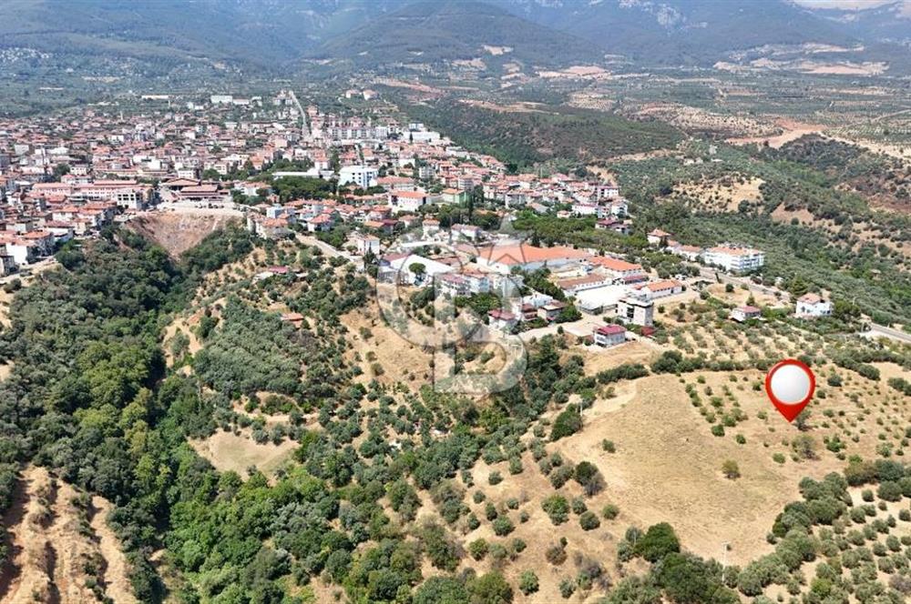 Aydın Karacasuda Satılık İmara Komşu Yatırımlık 31.298m2 Arazi