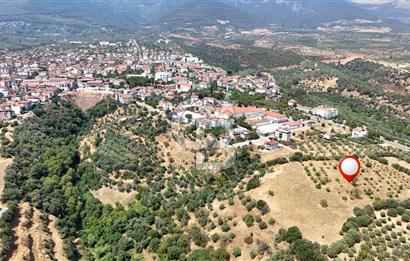 Aydın Karacasuda Satılık İmara Komşu Yatırımlık 31.298m2 Arazi