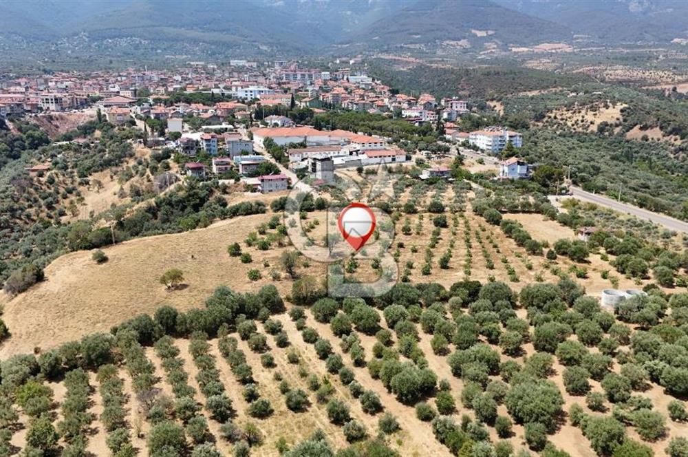 Aydın Karacasuda Satılık İmara Komşu Yatırımlık 31.298m2 Arazi