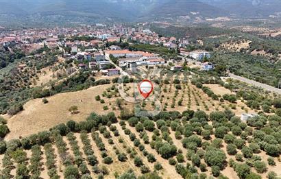 Aydın Karacasuda Satılık İmara Komşu Yatırımlık 31.298m2 Arazi