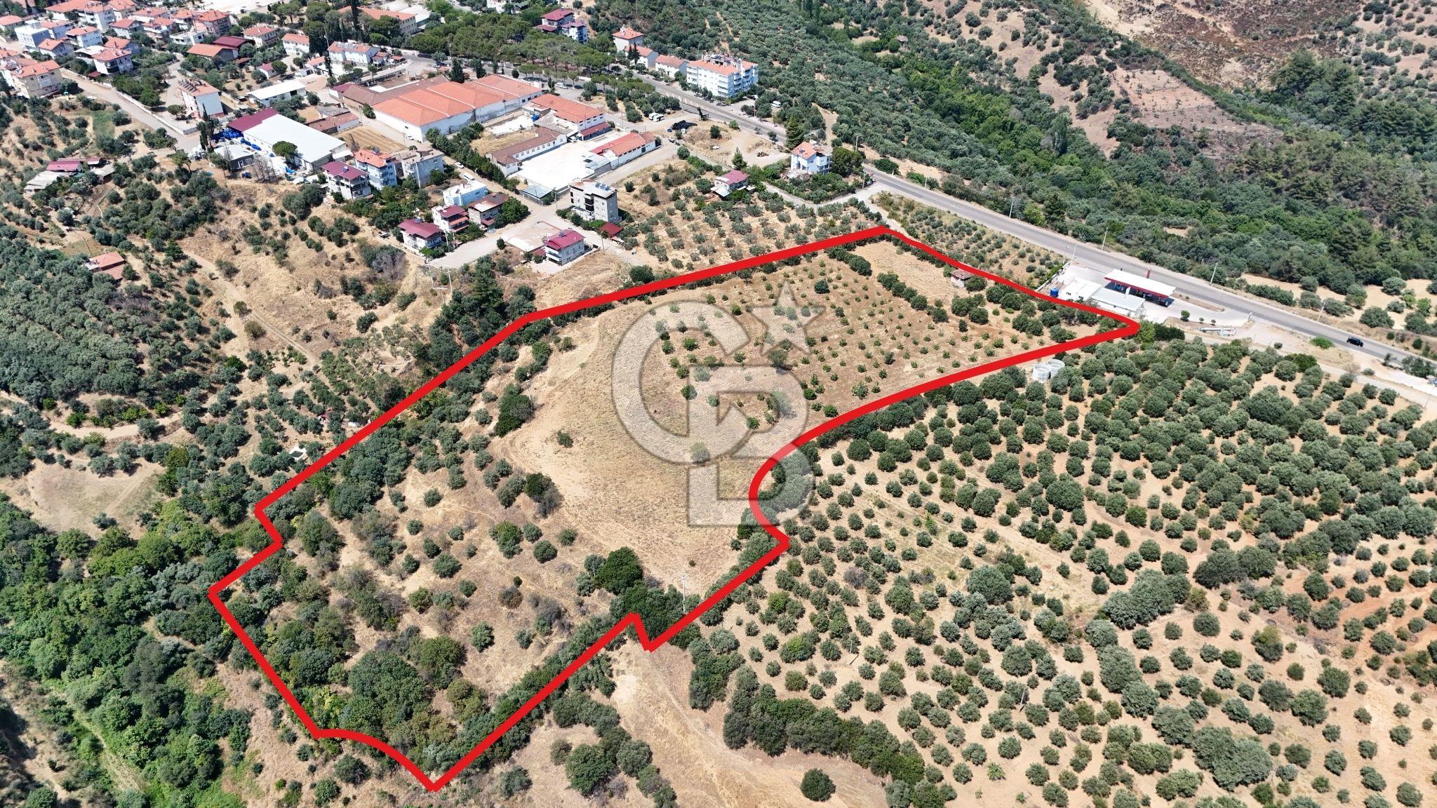 Aydın Karacasuda Satılık İmara Komşu Yatırımlık 31.298m2 Arazi