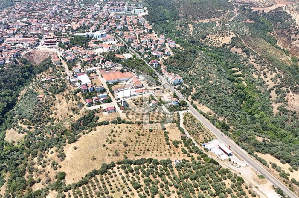 Aydın Karacasuda Satılık İmara Komşu Yatırımlık 31.298m2 Arazi