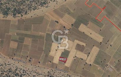 Denizli Tavas Nikfer Mah. 956 M² Satılık Tarla
