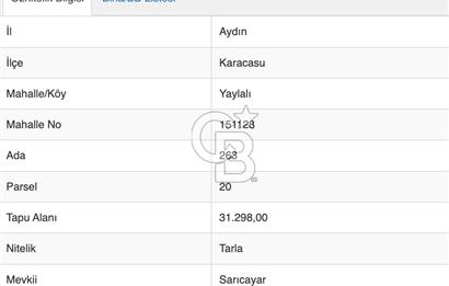 Aydın Karacasuda Satılık İmara Komşu Yatırımlık 31.298m2 Arazi
