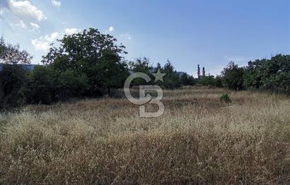Mezitli Fındıkpınarı Yaylası Yerleşim Yeri İçinde Satılık Tarla