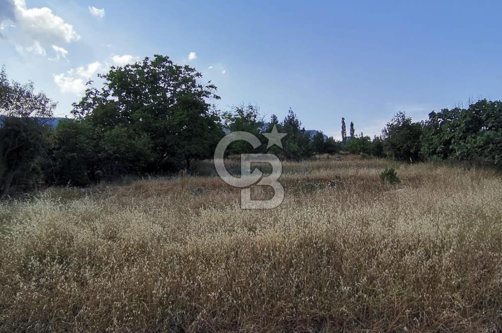 Mezitli Fındıkpınarı Yaylası Yerleşim Yeri İçinde Satılık Tarla