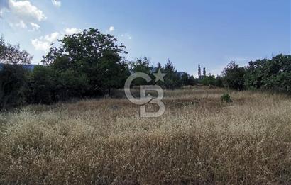 Mezitli Fındıkpınarı Yaylası Yerleşim Yeri İçinde Satılık Tarla