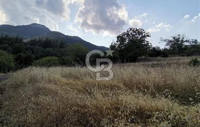 Mezitli Fındıkpınarı Yaylası Yerleşim Yeri İçinde Satılık Tarla