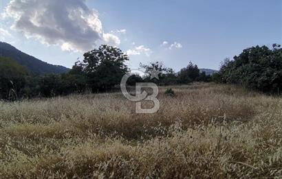 Mezitli Fındıkpınarı Yaylası Yerleşim Yeri İçinde Satılık Tarla
