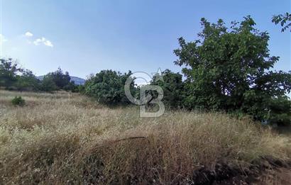 Mezitli Fındıkpınarı Yaylası Yerleşim Yeri İçinde Satılık Tarla