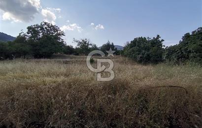 Mezitli Fındıkpınarı Yaylası Yerleşim Yeri İçinde Satılık Tarla