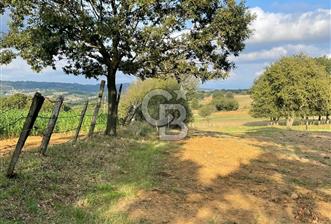 ÇANAKKALE ÇAN KOCAYAYLA SATILIK 1500 M2 TARLA