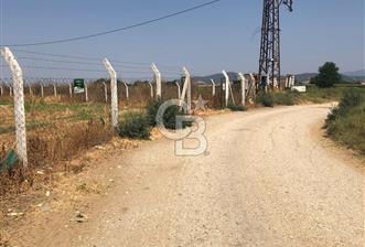BAYINDIR HASKÖY DE SATILIK 2800 M2 TARLA