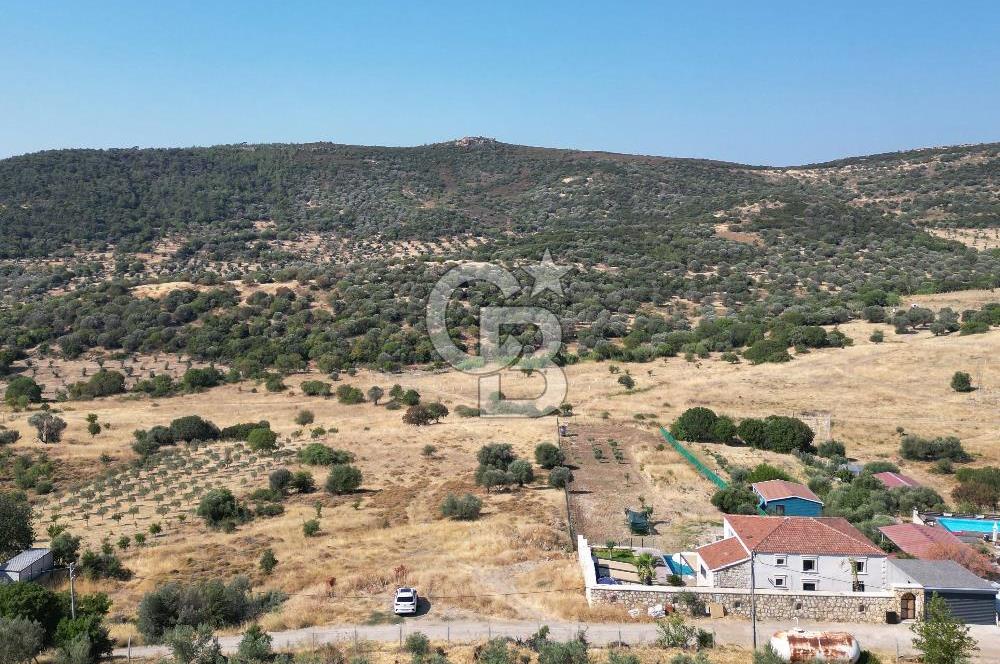 FOÇA YENİBAĞARASINDA DOĞA İÇİNDE SATILIK YAPI RUHSATLI ARSA