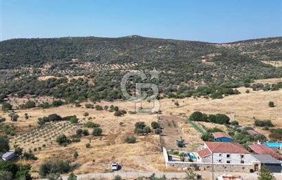 FOÇA YENİBAĞARASINDA DOĞA İÇİNDE SATILIK YAPI RUHSATLI ARSA