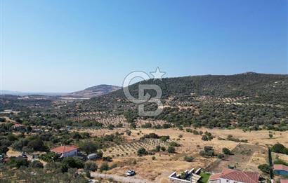 FOÇA YENİBAĞARASINDA DOĞA İÇİNDE SATILIK YAPI RUHSATLI ARSA