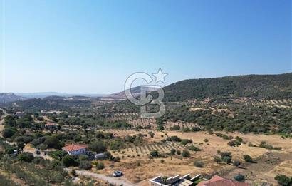 FOÇA YENİBAĞARASINDA DOĞA İÇİNDE SATILIK YAPI RUHSATLI ARSA