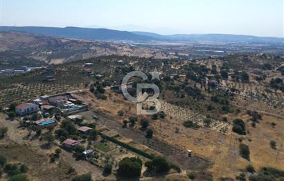 FOÇA YENİBAĞARASINDA DOĞA İÇİNDE SATILIK YAPI RUHSATLI ARSA