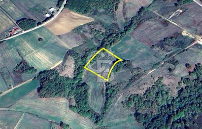 Derince Tahtalı da 4800 m2 SATILIK TARLA, Kadastral yolu var