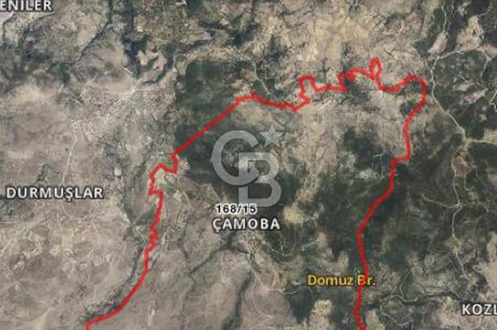 BERGAMA ÇAMOBA'DA KÖYİÇİ FIRSAT BAHÇE