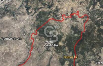 BERGAMA ÇAMOBA'DA KÖYİÇİ FIRSAT BAHÇE