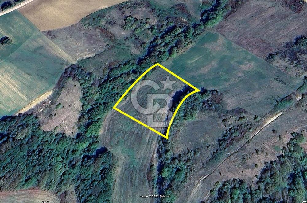 Derince Tahtalı da 4800 m2 SATILIK TARLA, Kadastral yolu var
