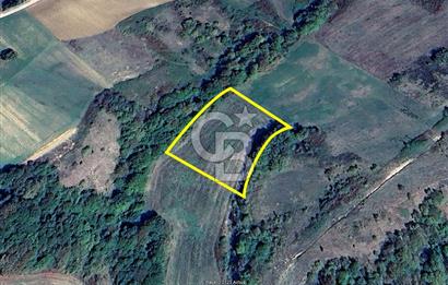 Derince Tahtalı da 4800 m2 SATILIK TARLA, Kadastral yolu var
