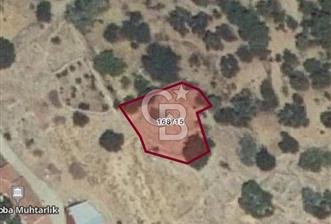 BERGAMA ÇAMOBA'DA KÖYİÇİ FIRSAT BAHÇE
