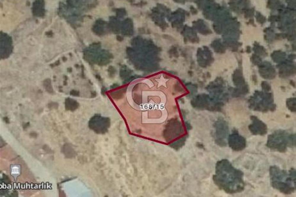 BERGAMA ÇAMOBA'DA KÖYİÇİ FIRSAT BAHÇE