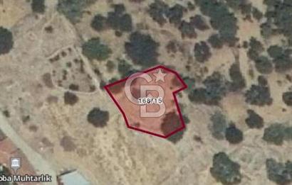 BERGAMA ÇAMOBA'DA KÖYİÇİ FIRSAT BAHÇE