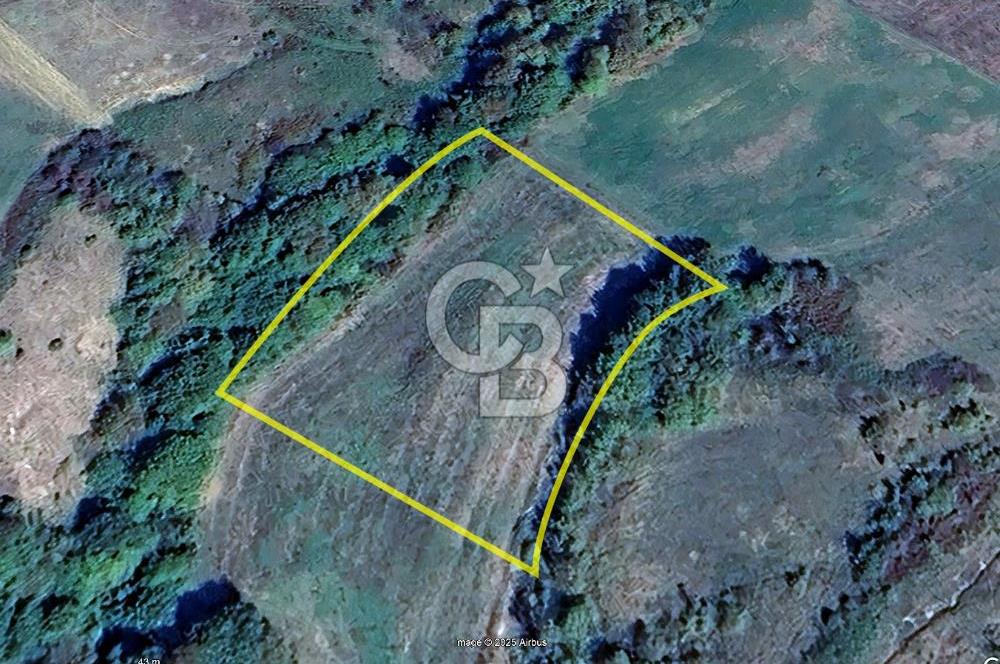 Derince Tahtalı da 4800 m2 SATILIK TARLA, Kadastral yolu var
