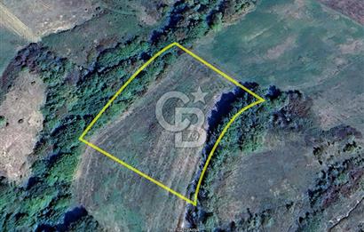 Derince Tahtalı da 4800 m2 SATILIK TARLA, Kadastral yolu var
