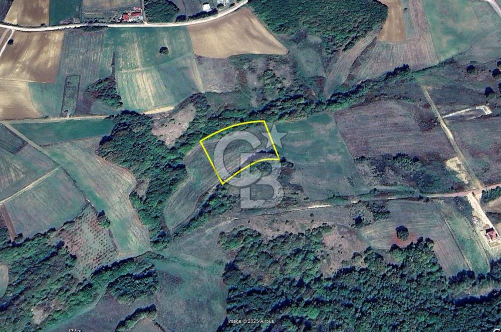 Derince Tahtalı da 4800 m2 SATILIK TARLA, Kadastral yolu var
