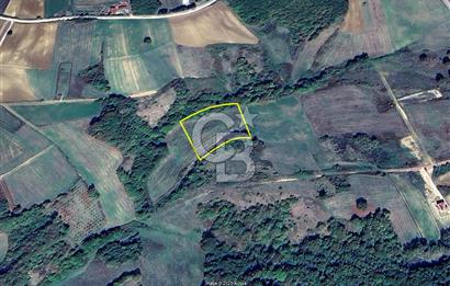 Derince Tahtalı da 4800 m2 SATILIK TARLA, Kadastral yolu var