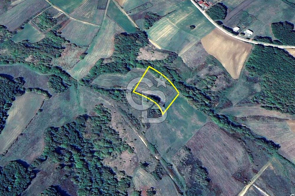 Derince Tahtalı da 4800 m2 SATILIK TARLA, Kadastral yolu var