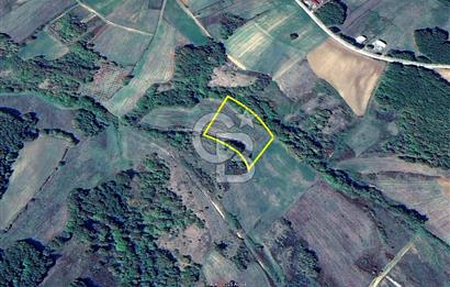 Derince Tahtalı da 4800 m2 SATILIK TARLA, Kadastral yolu var